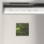 Mycobacterium tuberculosis cells magnet (In Situ (Geschirrspüler))