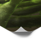 Mycobacterium tuberculosis cells poster (Ecke)