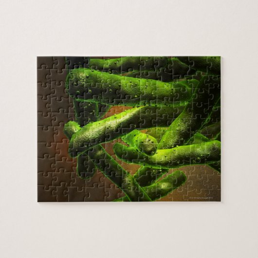 Mycobacterium Tuberkulose Puzzle (Horizontal)