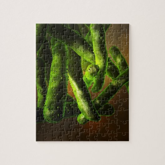 Mycobacterium Tuberkulose Puzzle (Vertikal)