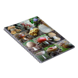 MycoJournal Notizblock