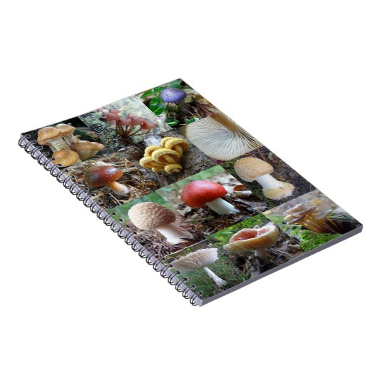 MycoJournal Notizblock (Rechte Seite)