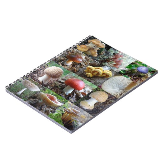 MycoJournal Notizblock (Linke Seite)