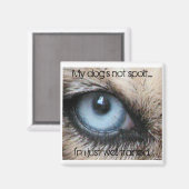 Mydogs nicht verdirbt, ich bin einfach gut ausgebi magnet (Vorderseite/Rückseite)