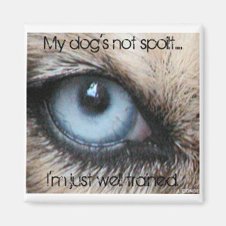 Mydogs nicht verdirbt, ich bin einfach gut ausgebi magnet