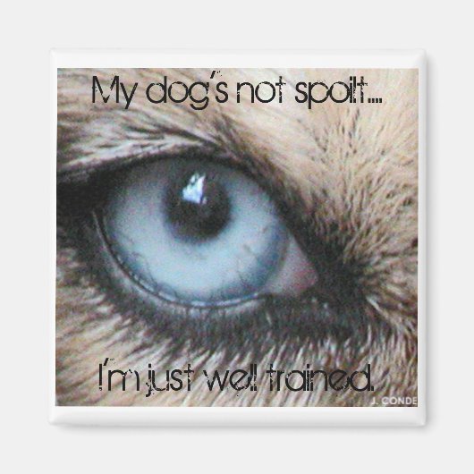 Mydogs nicht verdirbt, ich bin einfach gut ausgebi magnet (Vorne)