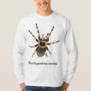 Mygale auf einem T-Shirt