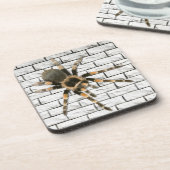 Mygale Spinne (Brachypelma smithi). Getränkeuntersetzer (Linke Seite)