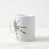 Mygale Spinne (Brachypelma smithi) Kaffeetasse (Vorderseite Links)