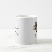 Mygale Spinne (Brachypelma smithi) Kaffeetasse (Mittel)