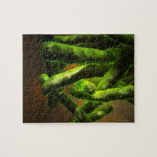 Mykobakterium-Tuberkulose Puzzle