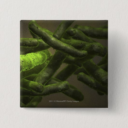 Mykobakteriumtuberkulosezellen Button (Vorderseite)