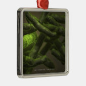 Mykobakteriumtuberkulosezellen Silbernes Ornament (Rechts)