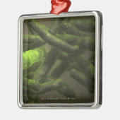 Mykobakteriumtuberkulosezellen Silbernes Ornament (Links)