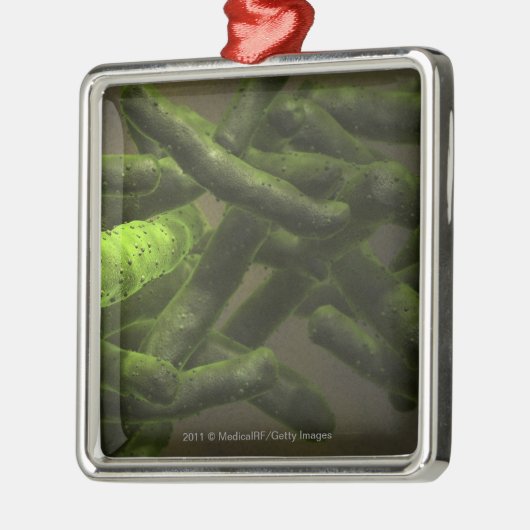 Mykobakteriumtuberkulosezellen Silbernes Ornament (Links)