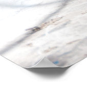 Mykonos cat - Poster (Ecke)