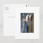Mykonos PETROS (St.K. Postkarte (Vorne/Hinten)