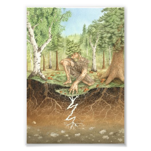 Mykorrhizalpilz Fotodruck (Vorne)