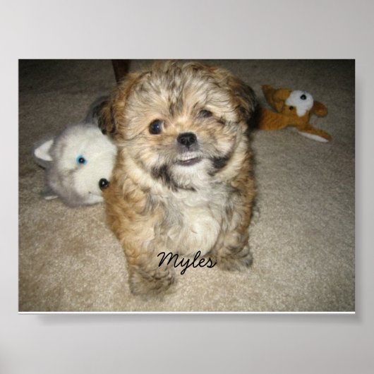 Myles Poster (Vorne)