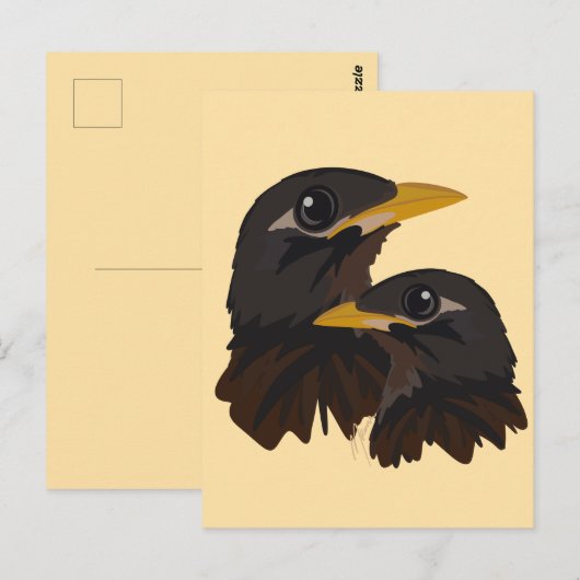 Myna Birds Postkarte (Vorne/Hinten)