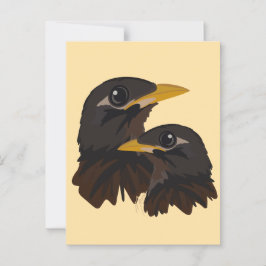 Myna Birds Postkarte