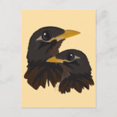 Myna Birds Postkarte (Vorderseite)