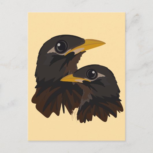 Myna Birds Postkarte (Vorderseite)