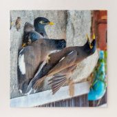 Myna Puzzle (Horizontal)