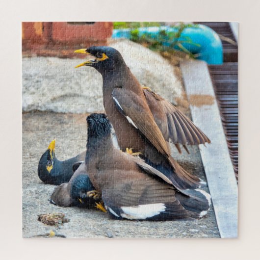 Myna Puzzle (Vertikal)