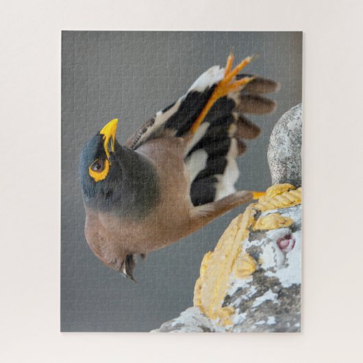 Myna Puzzle (Vertikal)