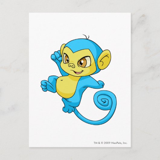 Mynci Blue Postkarte (Vorderseite)