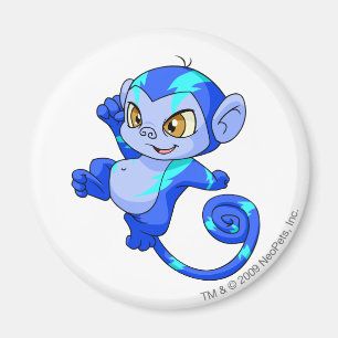 Mynci Electric Magnet