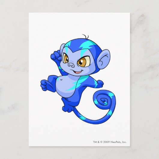 Mynci Electric Postkarte (Vorderseite)