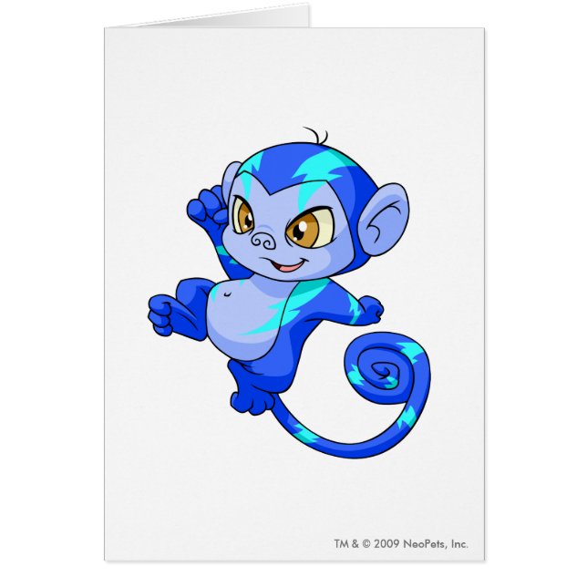 Mynci elektrisch (Vorne)