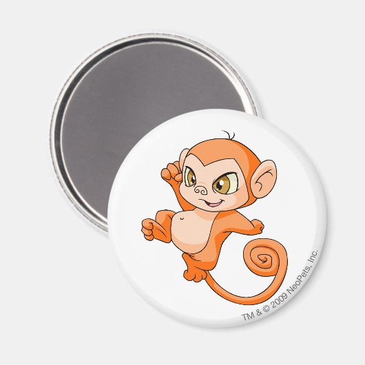 Mynci Orange Magnet (Vorderseite/Rückseite)