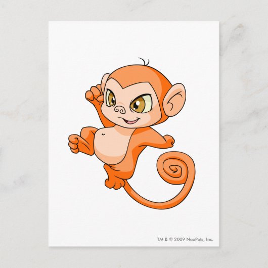 Mynci Orange Postkarte (Vorderseite)