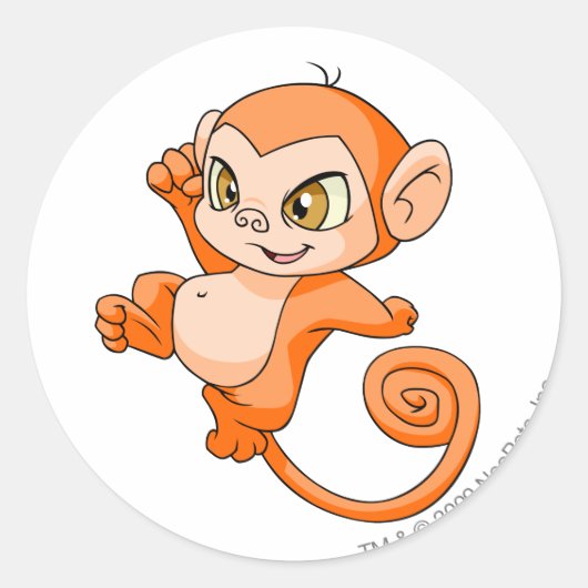 Mynci Orange Runder Aufkleber (Vorderseite)