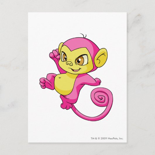 Mynci Pink Postkarte (Vorderseite)