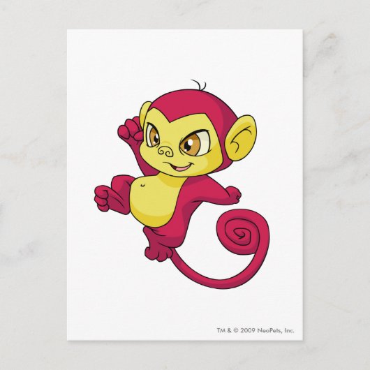 Mynci Red Postkarte (Vorderseite)