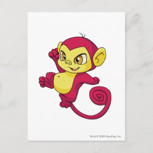 Mynci Red Postkarte