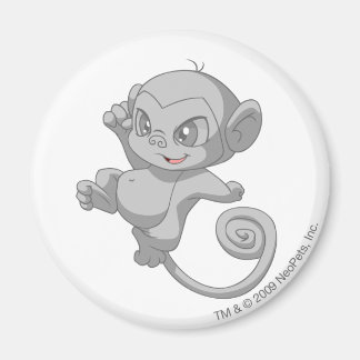 Mynci Silver Magnet