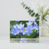 Myosotis sylvatica - Vergessen Sie Me Nots Postkarte (Stehend Vorderseite)