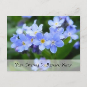 Myosotis sylvatica - Vergessen Sie Me Nots Postkarte