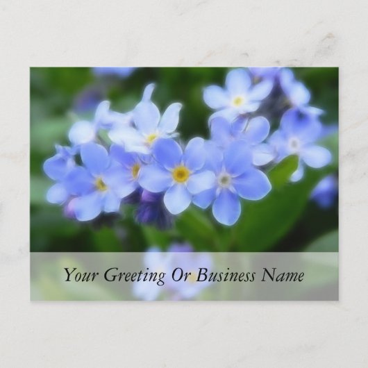 Myosotis sylvatica - Vergessen Sie Me Nots Postkarte (Vorderseite)