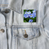 Myosotis sylvatica - Vergissmeinnichte Button (Beispiel)