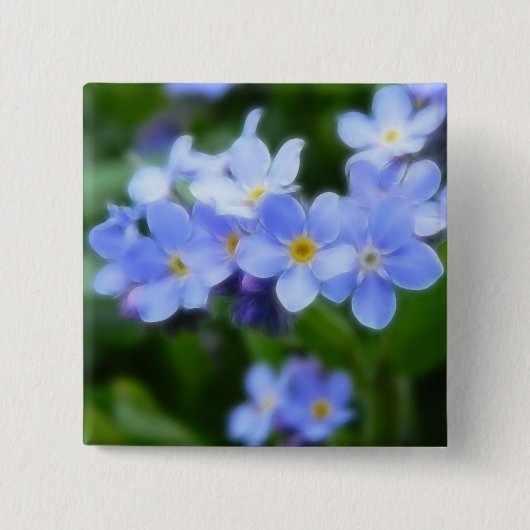Myosotis sylvatica - Vergissmeinnichte Button (Vorderseite)