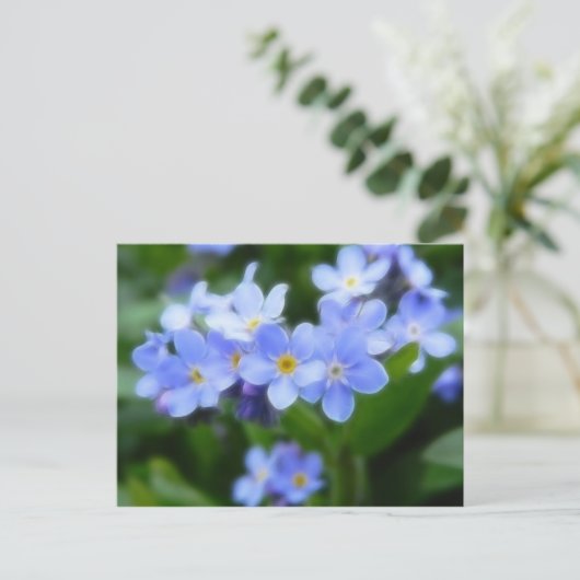 Myosotis sylvatica - Vergissmeinnichte Postkarte (Stehend Vorderseite)
