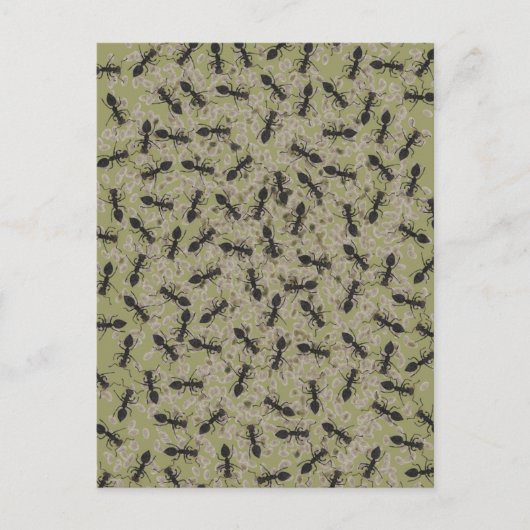 Myrmecophobie Postkarte (Vorderseite)