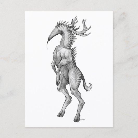 Myrmedeer - Postkarte (Vorderseite)