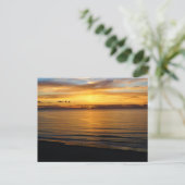 Myrtle Beach, SC Sunrise Postcard Postkarte (Stehend Vorderseite)